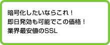 暗号化したいならこれ！即日発行も可能でこの価格！業界最安値のSSL