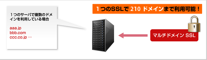 1つのSSLで210ドメインまで利用可能!