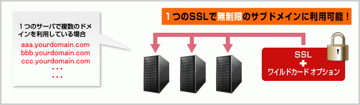 1つのSSLで無制限のサブドメインに利用可能!