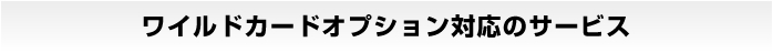 ワイルドカードオプション対応のサービス
