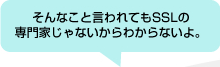 そんなこと言われてもSSLの専門家じゃないからわからないよ。