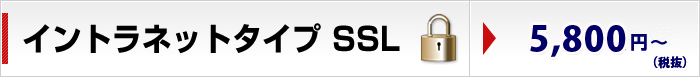 製品一覧　イントラネットタイプ SSL