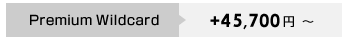 Premium Wildcard　+48,000円～
