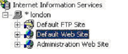 Internet Services Manager - Properties